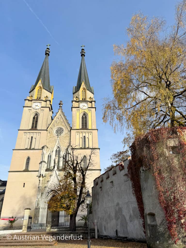 Ein Blick auf die gotischen Zwillingstürme der Stiftskirche Admont bei blauem Himmel, umgeben von Herbstlaub und einer angrenzenden Steinmauer. Die historische Stiftskirche ist ein herausragendes architektonisches Merkmal von Admont, Österreich.