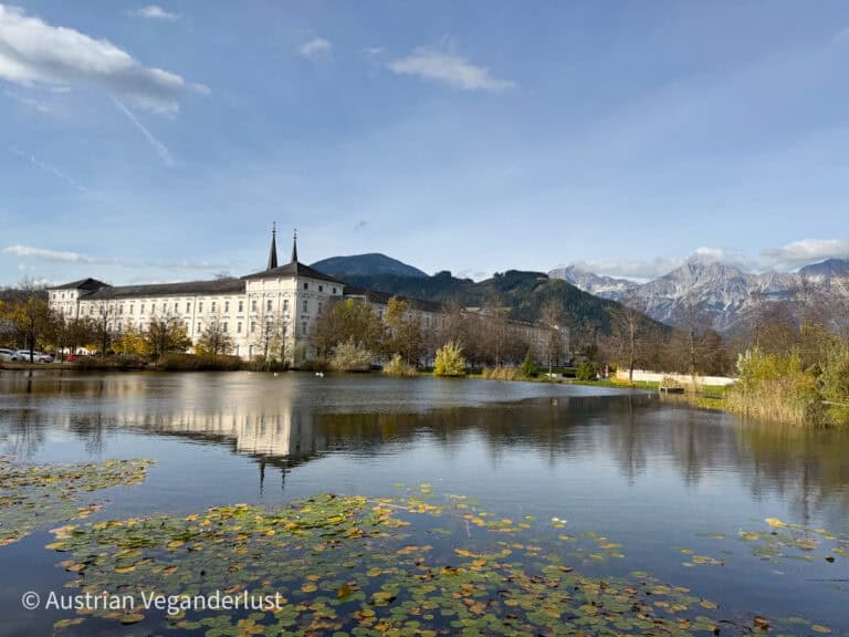 Der malerische Garten des Stifts Admont mit einem großen spiegelnden Teich im Vordergrund, eingerahmt von den majestätischen österreichischen Alpen im Hintergrund. Seerosen sind auf der Oberfläche des Teiches verteilt und tragen zu der ruhigen Landschaft bei.