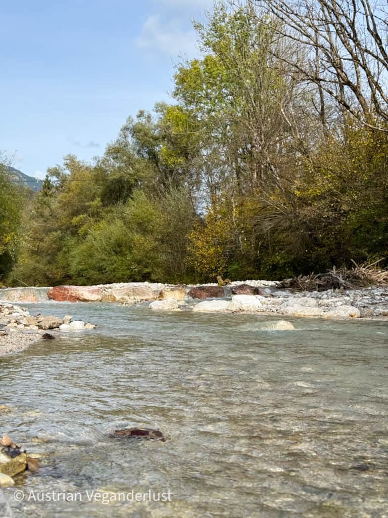 Ein ruhiges Flussbett in der Nähe von Admont, Österreich, mit klarem Wasser, das über Felsen fließt und von üppig grünen Bäumen umgeben ist. Diese friedliche Naturszene unterstreicht die unberührte Schönheit der Region im Herbst.