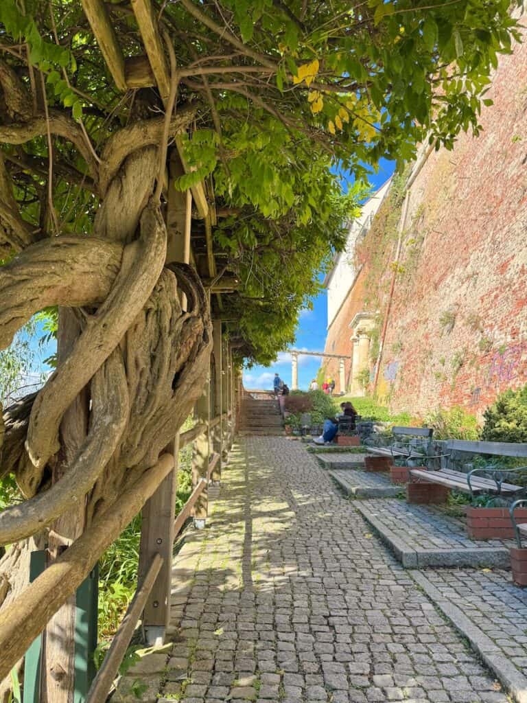 A scenic cobblestone pathway on Schlossberg hill in Graz, shaded by a wooden pergola entwined with thick, gnarled tree branches. Benches line the path, offering a peaceful resting spot next to a historic brick wall. Sunlight filters through the leaves, creating a tranquil atmosphere for visitors.