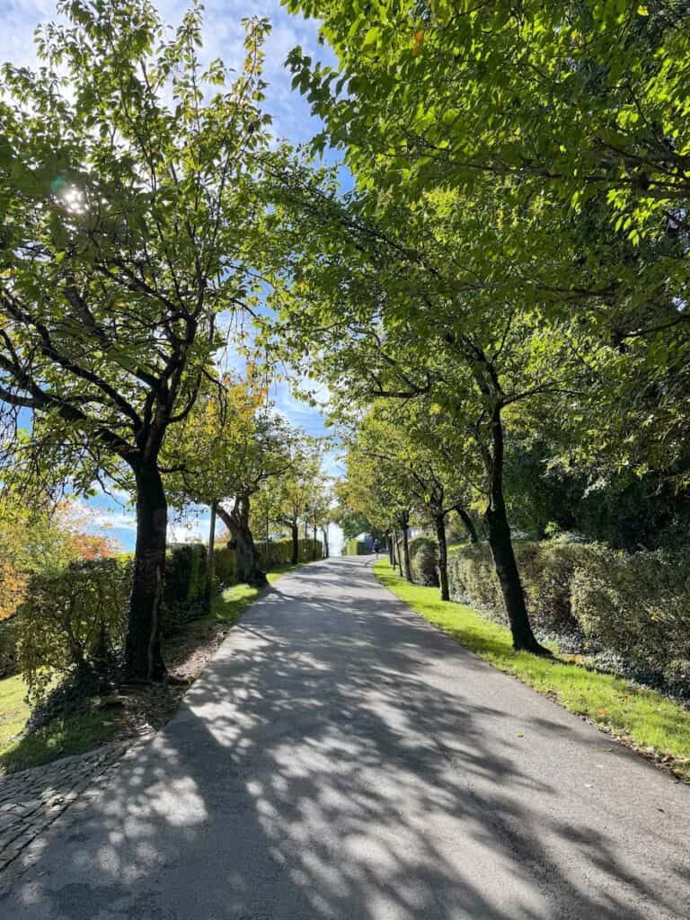 A serene, tree-lined path on Schlossberg hill in Graz, with sunlight streaming through the branches. The path offers a peaceful walk with nature in the heart of the city.