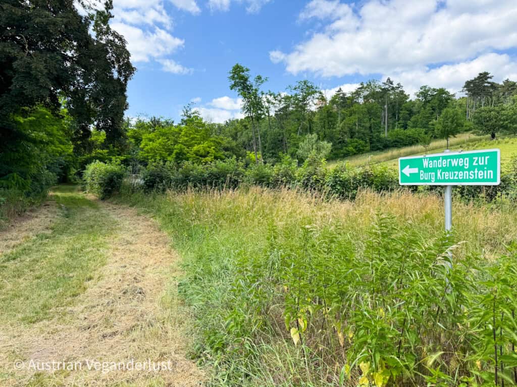 Ein grasbewachsener Wanderweg führt in einen üppigen Wald. Auf der rechten Seite steht ein grünes Schild mit der Aufschrift "Wanderweg zur Burg Kreuzenstein", das nach links zur Burg weist. Die Szene ist umgeben von hohem Gras und dichtem Sommergrün unter einem teilweise bewölkten Himmel.