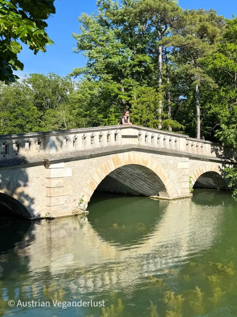 Steinerne Bogenbrücke über einen grün gefärbten Kanal im Park von Schloss Laxenburg, mit einem Besucher, der sich an das Geländer lehnt, und hohen Bäumen im Hintergrund.