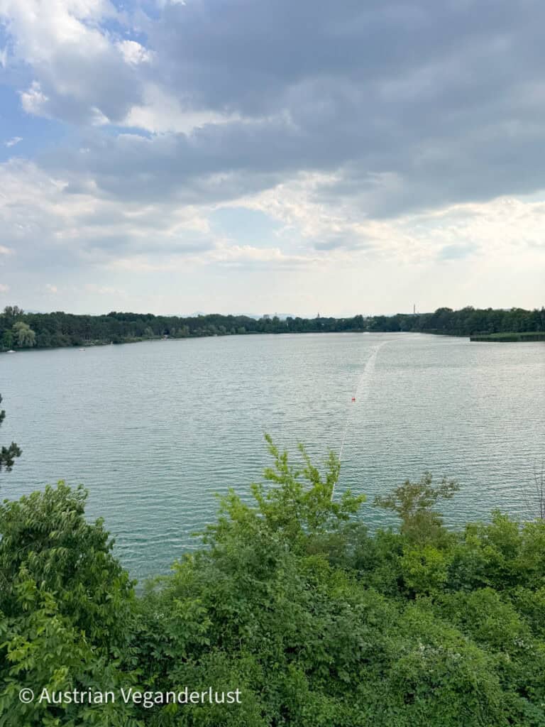 A serene view of Viehofner See from an elevated vantage point, with green forest lining the water and soft clouds rolling over the horizon.