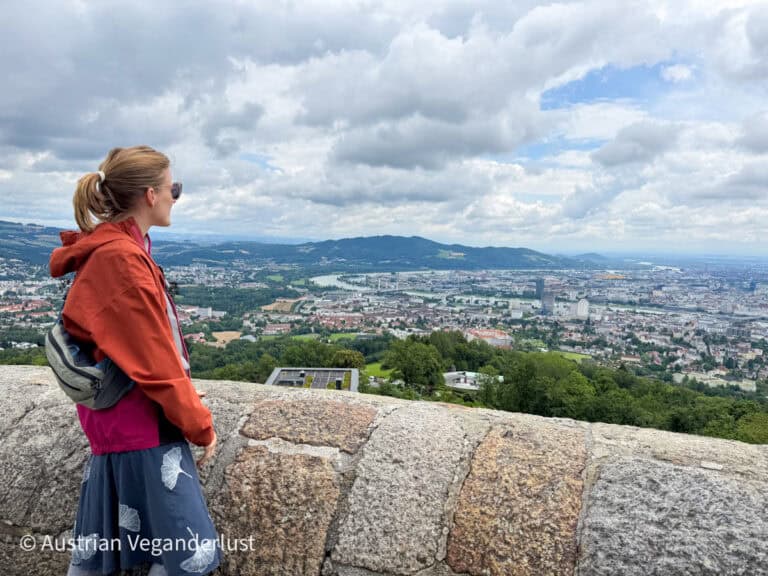 Eine Frau in einer roten Jacke blickt von einem steinernen Aussichtspunkt auf einen Panoramablick über Linz, während sich die Donau unter einem dramatisch bewölkten Himmel durch das Tal schlängelt.