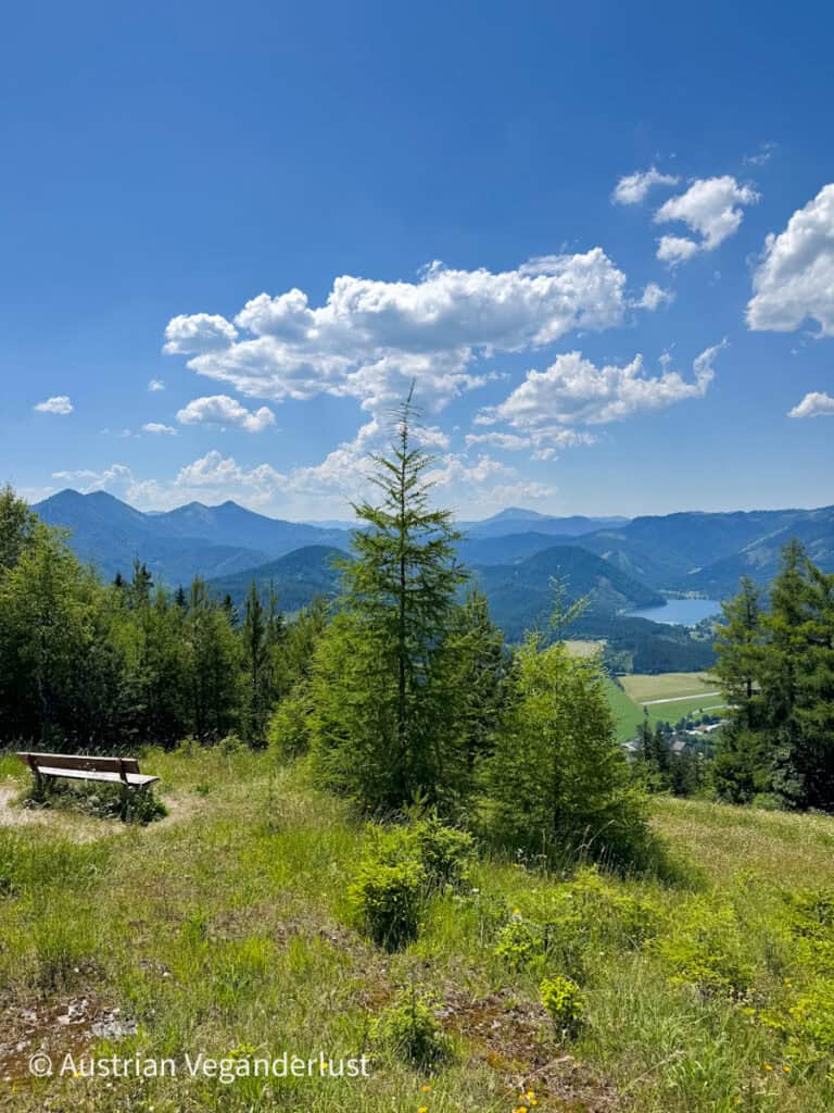 Ein malerischer Blick vom Wanderweg auf der Bürgeralpe, mit Blick auf saftig grüne Täler, alpine Bäume und einen türkisfarbenen See in der Ferne unter einem wolkenverhangenen Himmel.