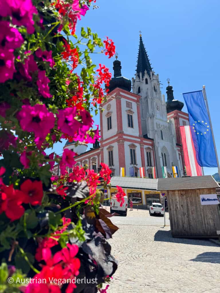 Die Mariazeller Basilika erhebt sich unter einem blauen Himmel, umrahmt von leuchtend rosa und roten Blumen im Vordergrund, und die Flaggen Österreichs und der EU verleihen ihr einen festlichen Touch.