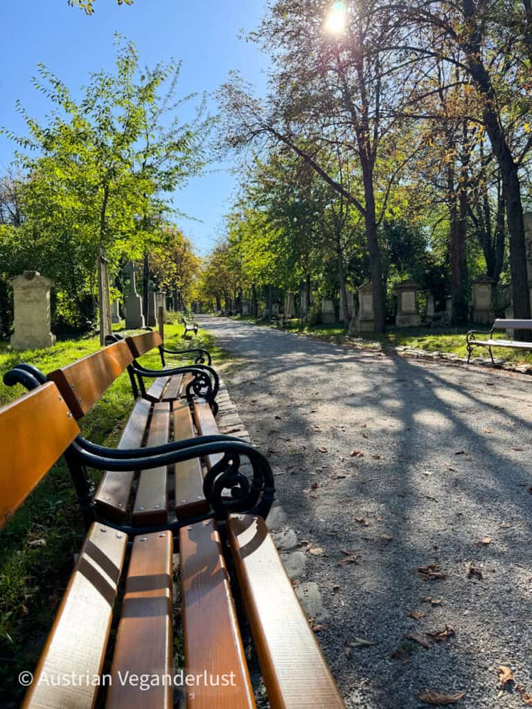 A sunlit gravel path lined with old gravestones and trees runs through a cemetery, with wooden benches on one side inviting visitors to sit and reflect.