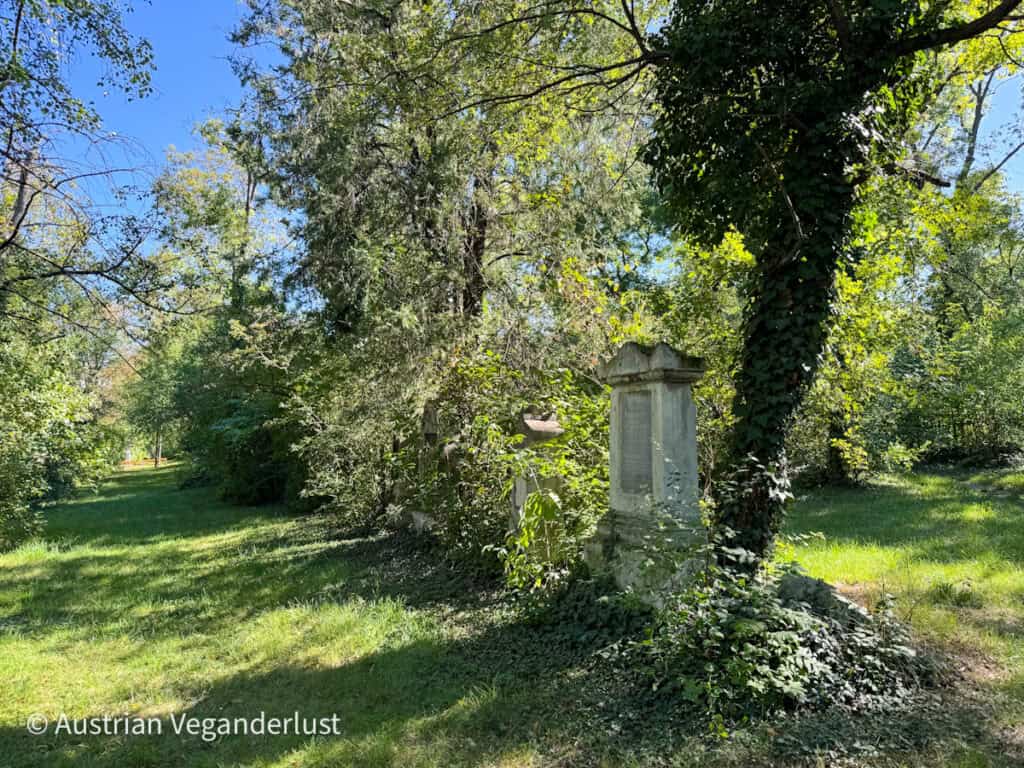 Tall gravestones stand shaded by ivy-covered trees and dense greenery, with sunlight filtering through the cemetery’s peaceful setting.