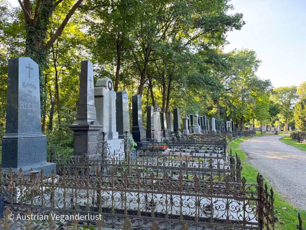 Eine Reihe historischer Grabsteine mit schmiedeeisernen Zäunen entlang eines schattigen, von Bäumen gesäumten Kiesweges.