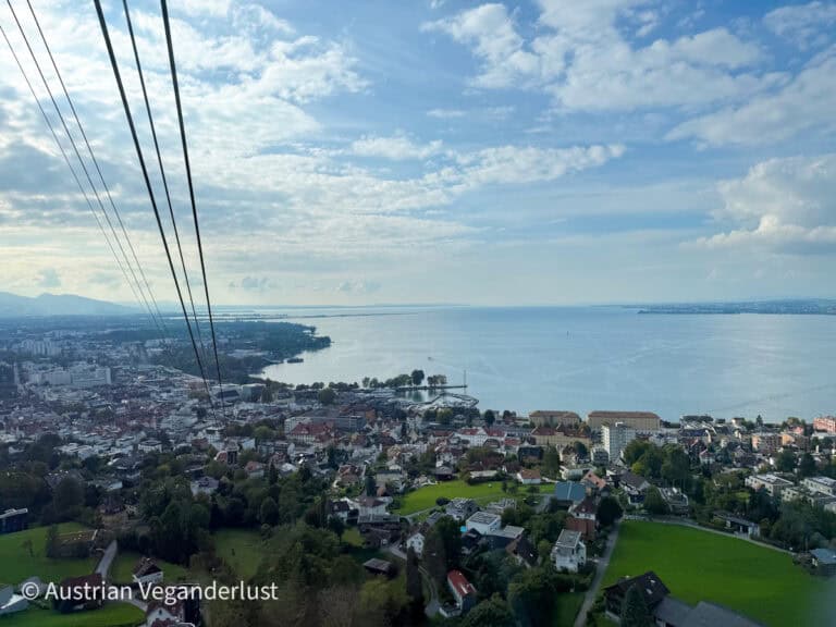 Aerial view of a lakeside city with rooftops, trees, and cable car lines stretching toward a calm, expansive lake under a blue sky.