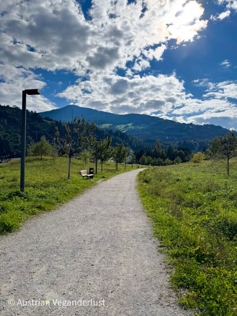 Curving gravel trail bordered by grass and young trees under a sky of dramatic clouds and bright sun, with forested hills and mountains in the background.