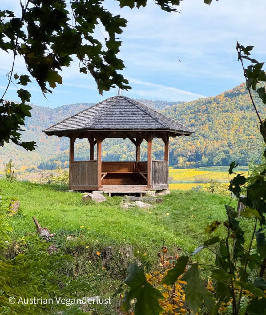 A simple wooden gazebo sits in a grassy meadow framed by leafy tree branches, with forested hills and autumn vineyards in the background.