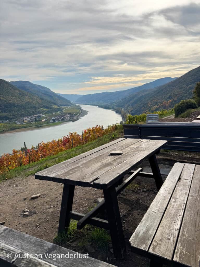 Rustic wooden picnic benches on a hilltop overlook the Danube River below, surrounded by colorful vineyards and forested slopes stretching into the distance.