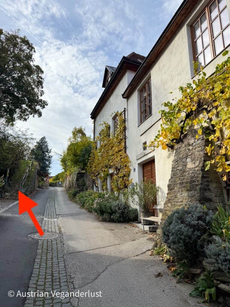 A quiet residential lane with cobblestone center strip and overgrown greenery, marked with a red arrow pointing to a stairway on the left leading uphill.