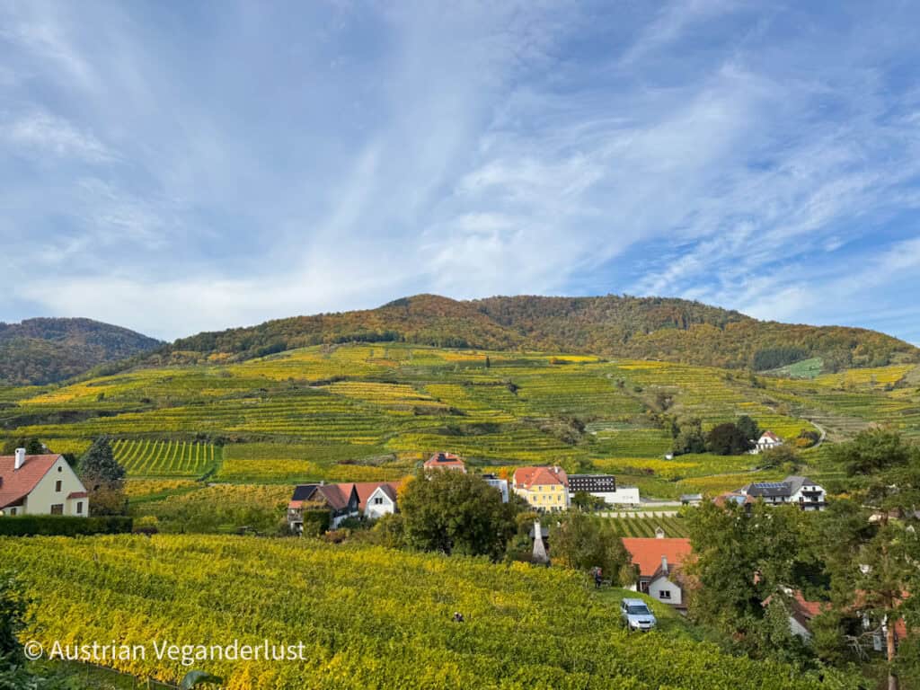Rows of terraced vineyards in full autumn color climb the hills above a village in the Wachau Valley, under a lightly clouded sky.