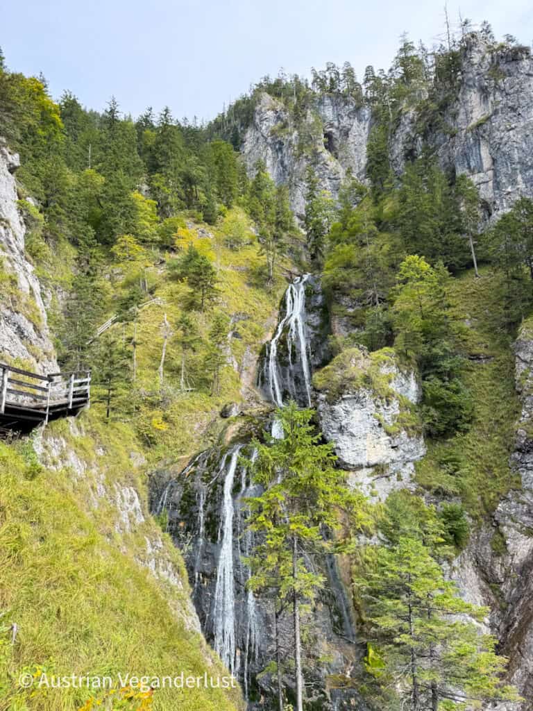 Ein mehrstufiger Wasserfall fällt einen steilen Abhang hinunter, der von Kiefern und zerklüfteten Felsen umgeben ist, und ein Holzsteg schlängelt sich um den Hang.