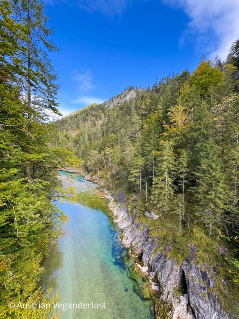 Ein kristallklarer Fluss mit türkis- und smaragdfarbenen Tönen schlängelt sich durch ein bewaldetes Tal mit kiefernbewachsenen Hügeln, die sich unter einem strahlend blauen Himmel erheben.