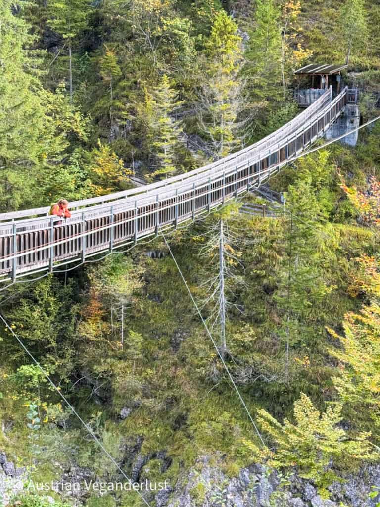 Eine lange hölzerne Hängebrücke spannt sich über eine tiefe bewaldete Schlucht. In der Mitte hält eine Person in einer roten Jacke inne, umgeben von Nadelbäumen.