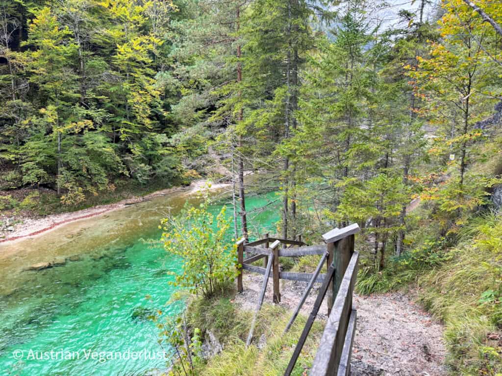 Ein Waldpfad führt hinunter zu einem leuchtend grünen Fluss, der an einem kiesigen Ufer entlangfließt, wobei Holzgeländer den Weg durch die Bäume weisen.