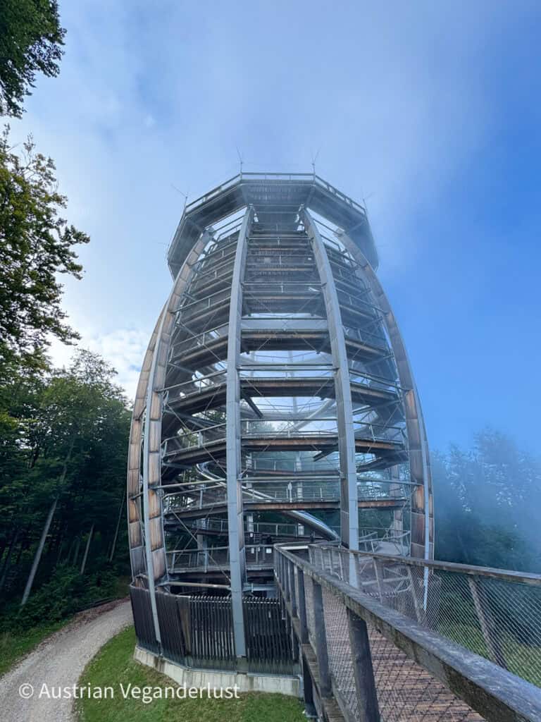 Ebenerdige Ansicht des spiralförmigen Baumkronenturms aus Holz und Stahl in Gmunden, Österreich, mit einem Holzsteg, der zum Eingang führt, und Nebel im Hintergrund.
