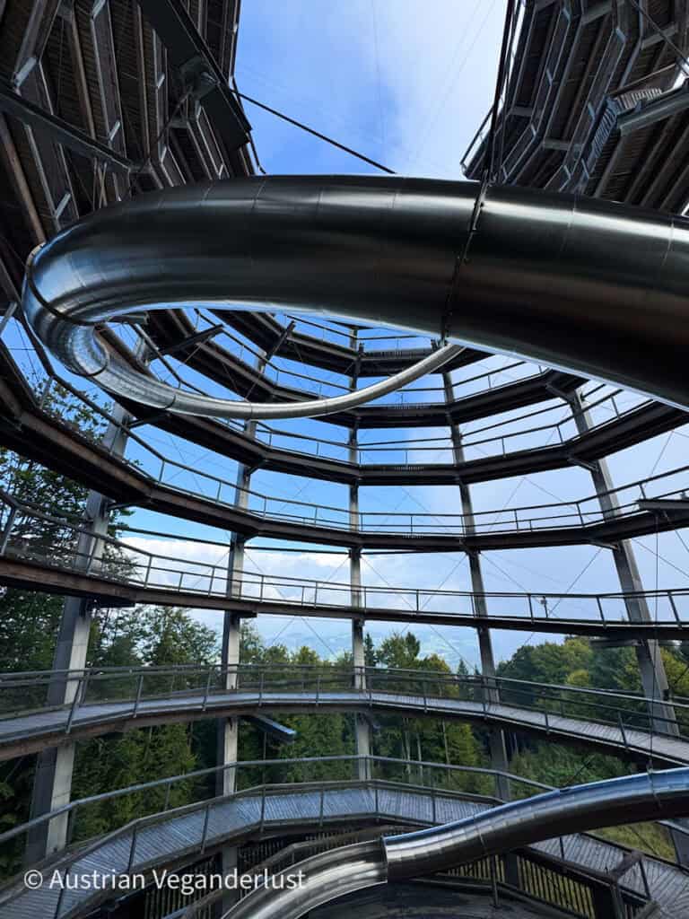 Im Inneren der spiralförmigen Struktur des Gmundner Baumwipfelturms windet sich eine Metallrutsche durch die Ebenen, die von runden Holzstegen umgeben sind.
