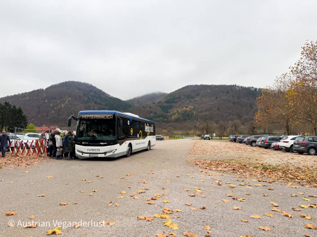 Tourists boarding a Leopoldi-branded bus in a leaf-strewn parking lot surrounded by wooded hills under overcast skies