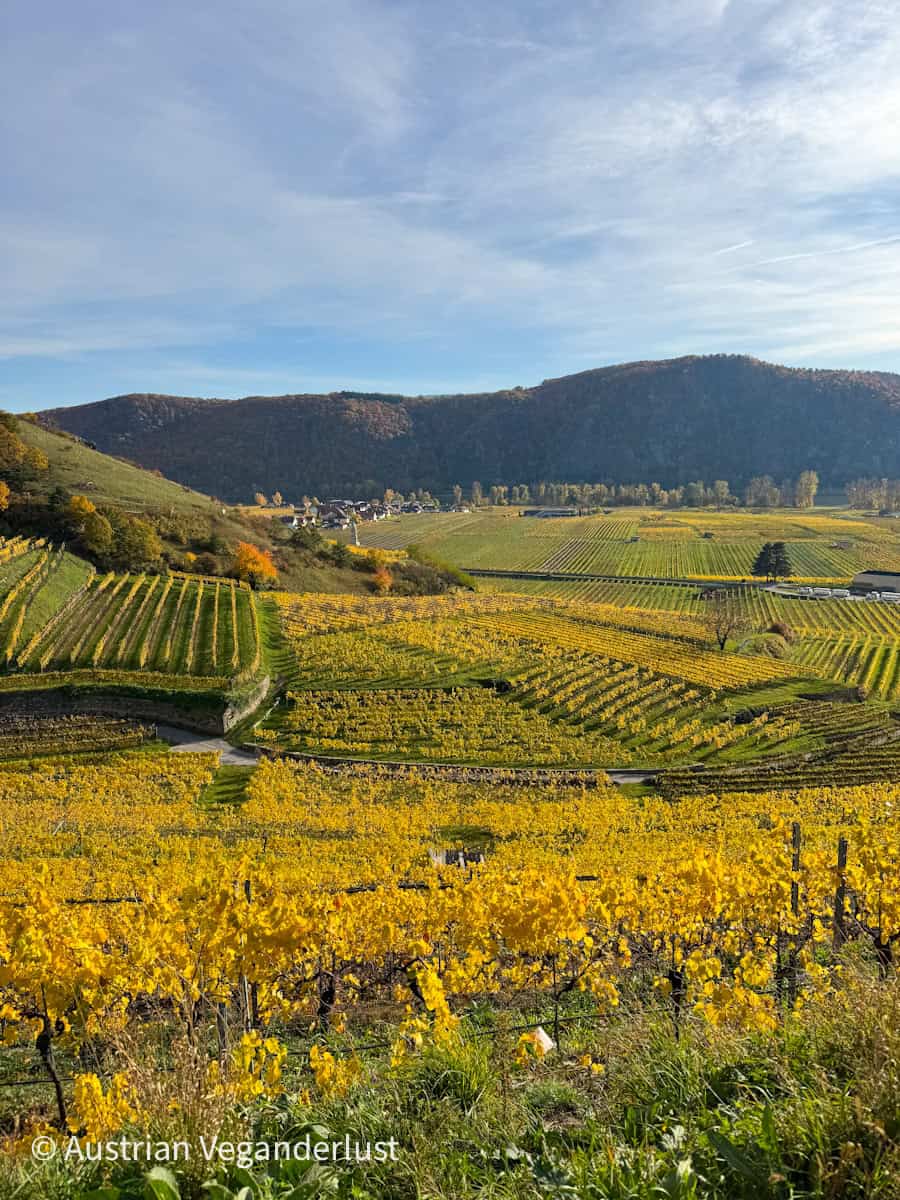 Dunstein How to Visit Dürnstein Austria: Wachau’s Fairytale Village