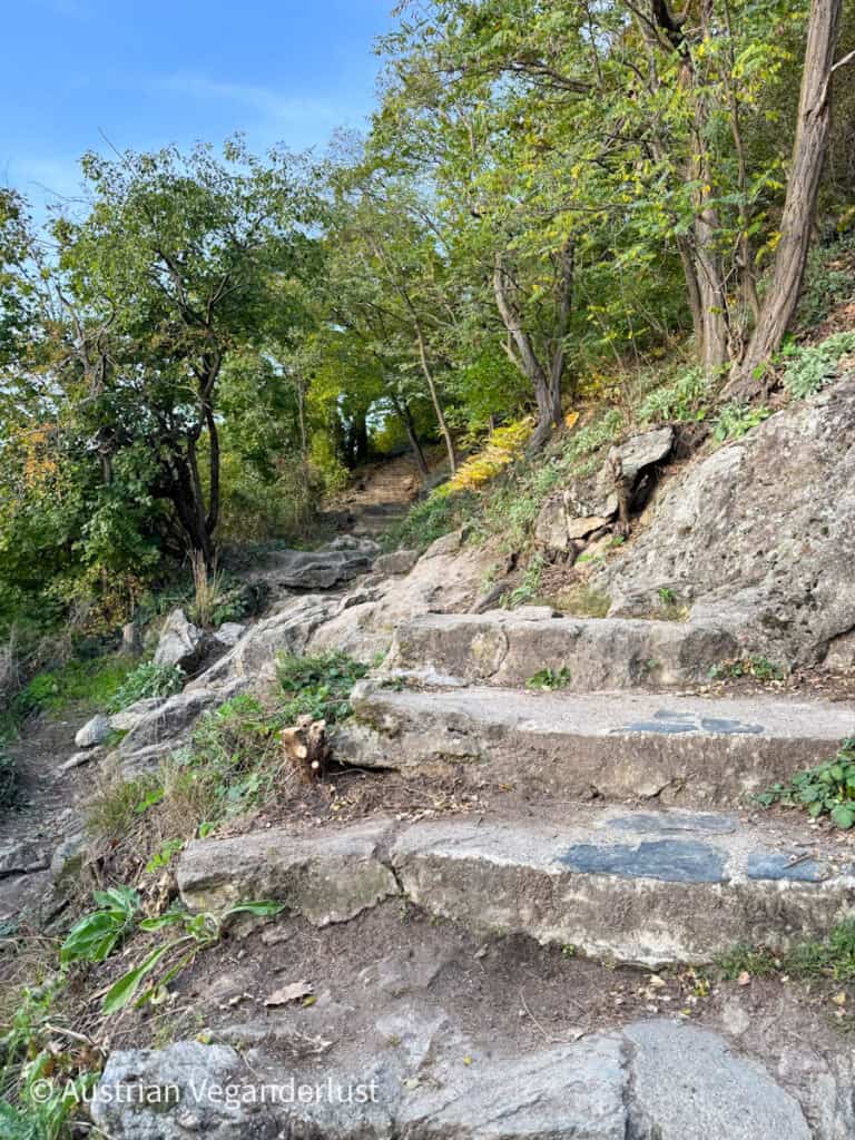 Rugged stone steps winding upward through a wooded area, surrounded by greenery and large rocks.