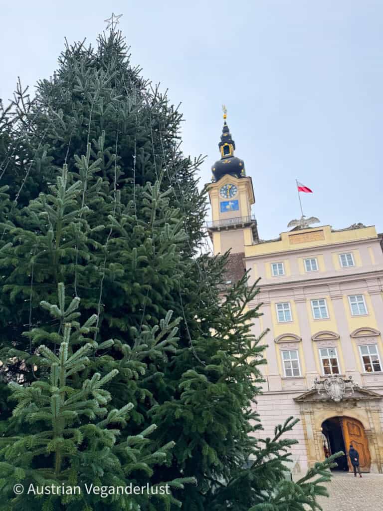 Towering Christmas tree with string lights set up in front of the ornate yellow Linz Town Hall, blending festive cheer with baroque architecture.