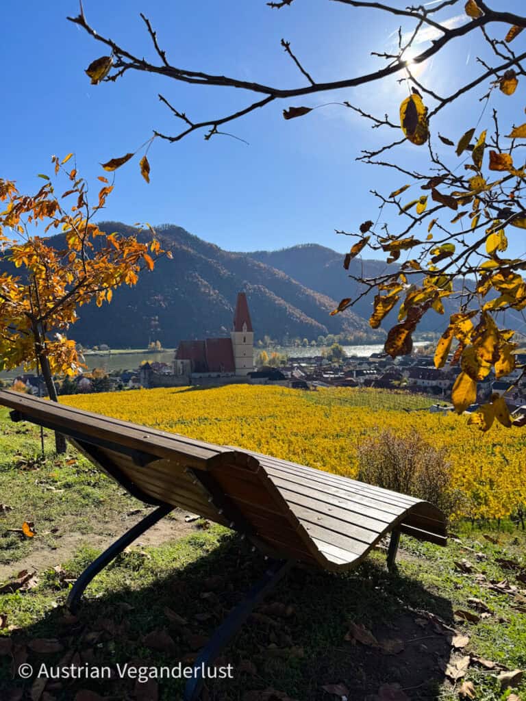 Curved wooden bench on a grassy hillside framed by autumn branches, with a panoramic view of yellow vineyards and a red-roofed church in front of a mountain range.