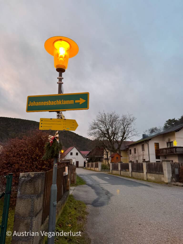 A streetlamp glows warmly at dusk, topped with a yellow directional sign pointing to "Johannesbachklamm." Below it, hiking signs indicate routes to the gorge and surrounding areas. The quiet residential street is lined with houses, with hills in the background and subtle Christmas decorations.