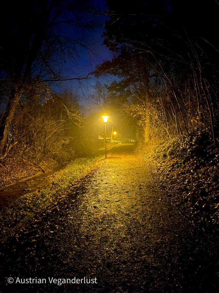 A serene forest path illuminated by glowing streetlamps at night. The leaf-strewn trail is surrounded by bare trees, creating a cozy, magical atmosphere on the way to the Johannesbachklamm Christmas Market.