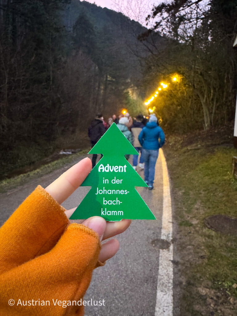 A hand in orange gloves holds a green tree-shaped ticket labeled “Advent in der Johannesbachklamm” as visitors walk along a lantern-lit path flanked by forested hills.