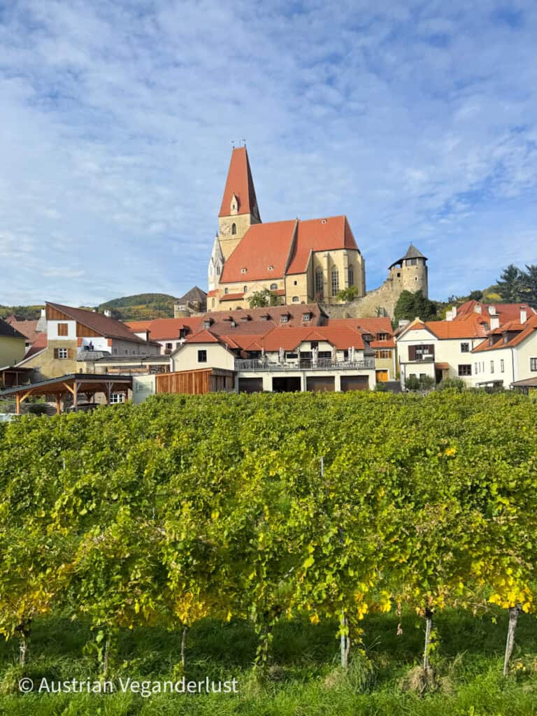 View of the historic town of Dürnstein in Austria’s Wachau Valley, featuring a large gothic church with a red roof rising above traditional village houses and lush green vineyards in the foreground. A blue sky with light clouds completes the picturesque scene.