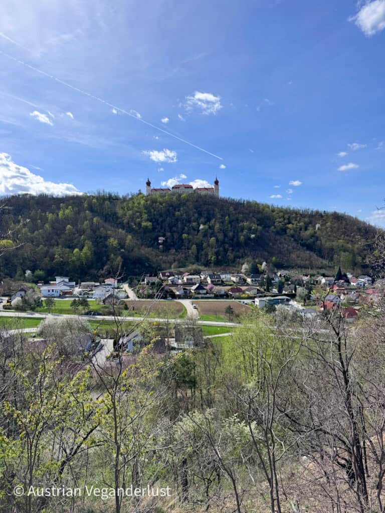 Panoramic view of a village at the base of a forested hill topped by a large historic complex, with houses, fields, and winding roads under a clear blue sky.