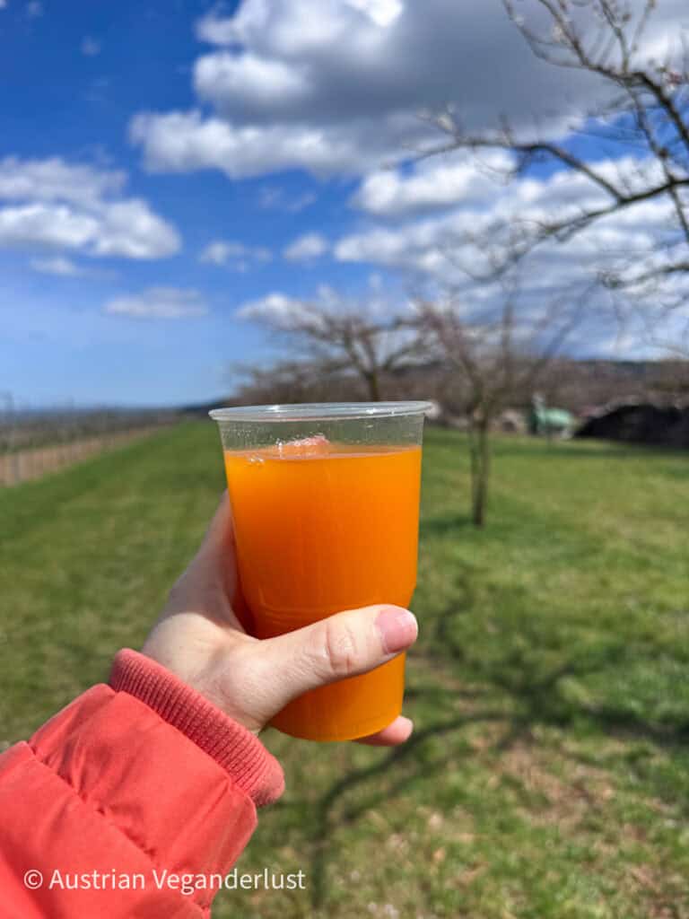 Hand holding a clear plastic cup filled with bright orange drink in a grassy orchard with trees and a blue sky with soft clouds in the background.