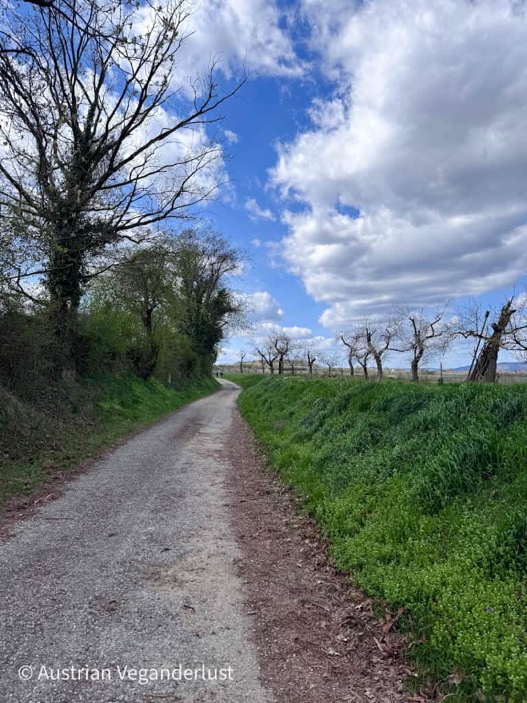 Gravel walking path curving through green grassy banks with trees on both sides under a partly cloudy sky, leading into an open rural landscape.