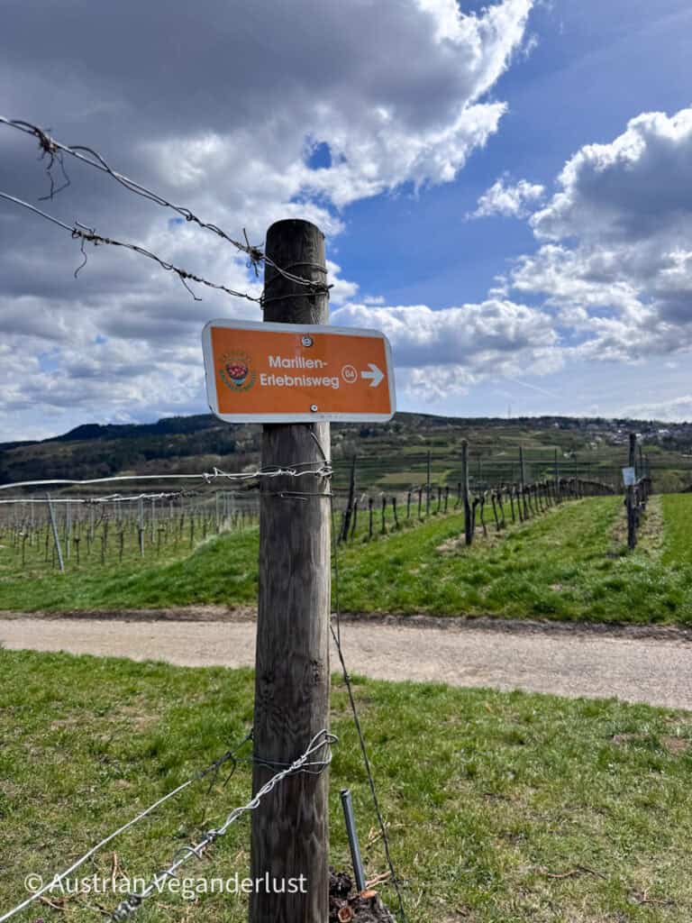 Wooden post with an orange sign reading "Marillen Erlebnisweg" and an arrow pointing right, set among vineyards and rolling hills under a cloudy blue sky.
