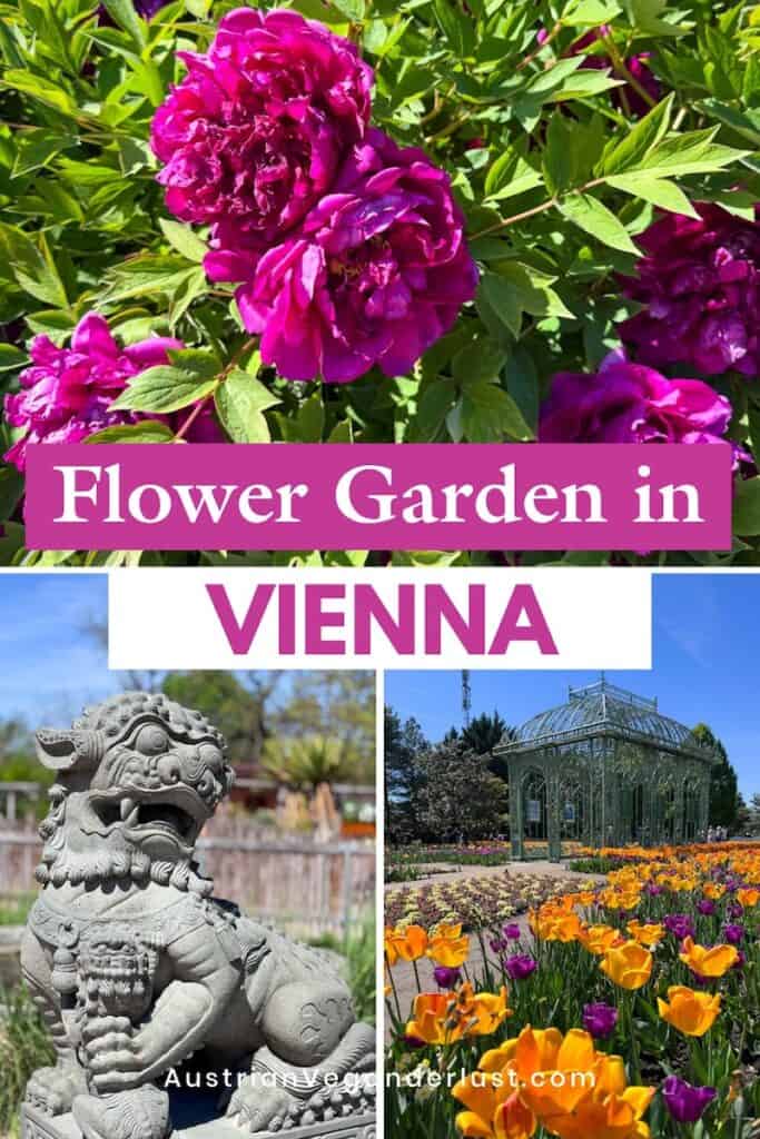 Collage featuring bright pink flowers, a stone guardian statue, and colorful tulip beds surrounding a decorative green pavilion in Vienna. Large text reads "Flower Garden in VIENNA" with "AustrianVeganerlust.com" written along the bottom.