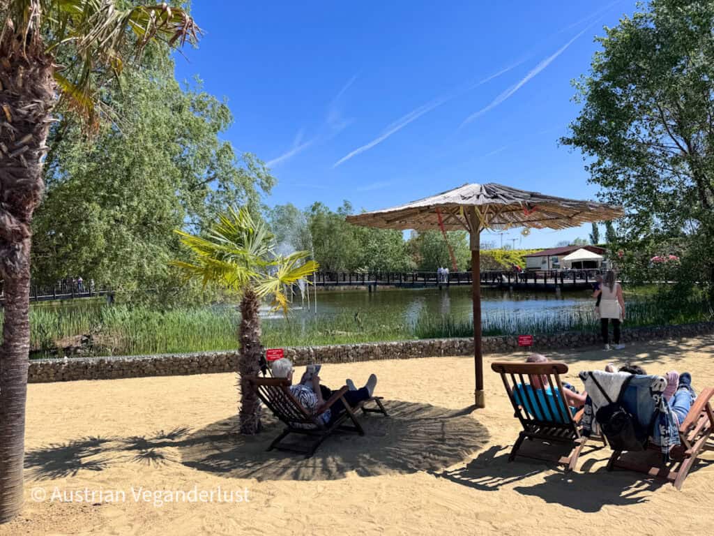 Sandy relaxation area beside a small lake with wooden lounge chairs, palm trees, and a straw sun umbrella under a bright blue sky. Visitors sit near the water while trees and a wooden walkway surround the peaceful park setting.