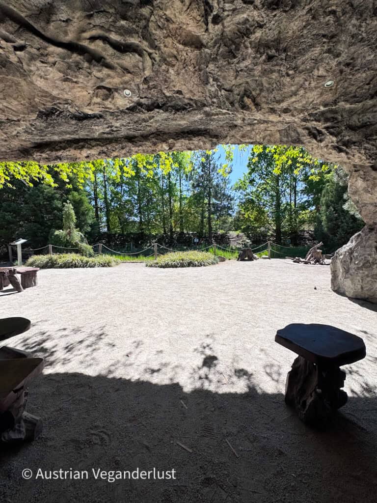 View from inside a shaded artificial cave looking out onto a gravel clearing bordered by trees and rope lined paths. Rustic wooden benches and natural rock textures create a quiet garden atmosphere.