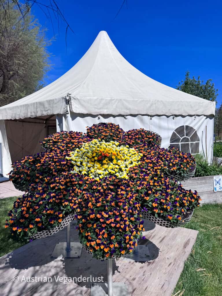 Large flower arrangement shaped like a blooming flower made from densely packed purple, orange, yellow, and white blossoms. A white event tent and green lawn sit behind the colorful floral display under a clear sky.