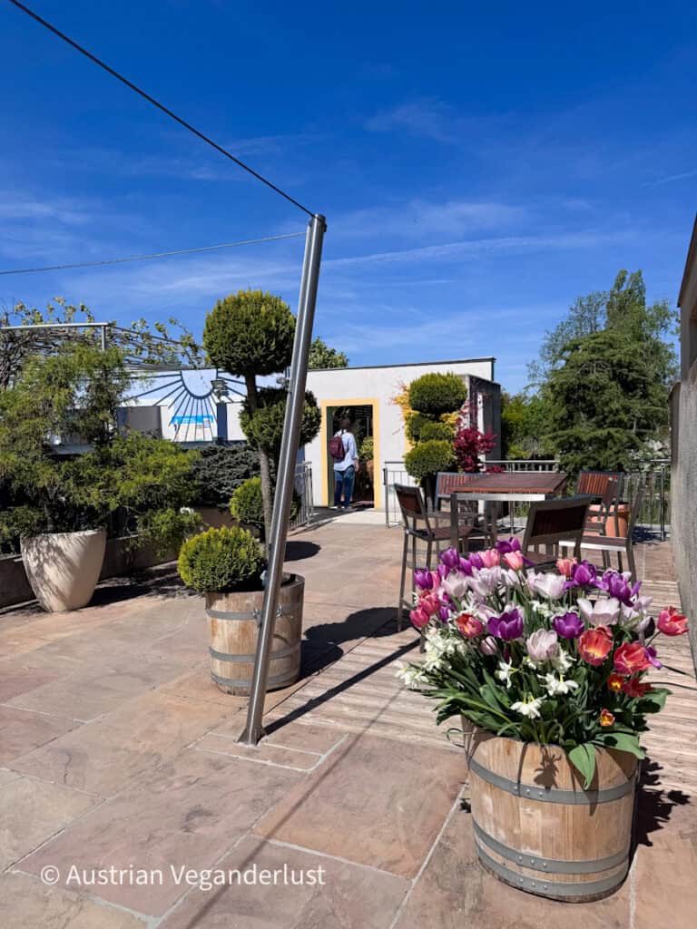 Sunny outdoor terrace with wooden tables, potted tulips, trimmed shrubs, and modern garden buildings in the background. Bright pink and white flowers decorate the seating area beneath a deep blue sky.