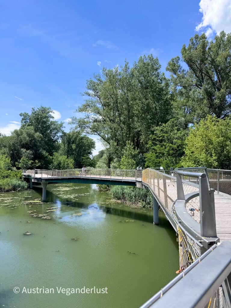 Eine geschwungene Fußgängerbrücke überspannt einen ruhigen, grünen Wasserlauf, der von dichten Bäumen und Feuchtgebietsvegetation umgeben ist. Von dem erhöhten Fußweg aus hat man an sonnigen Tagen einen schönen Blick über die Naturlandschaft.