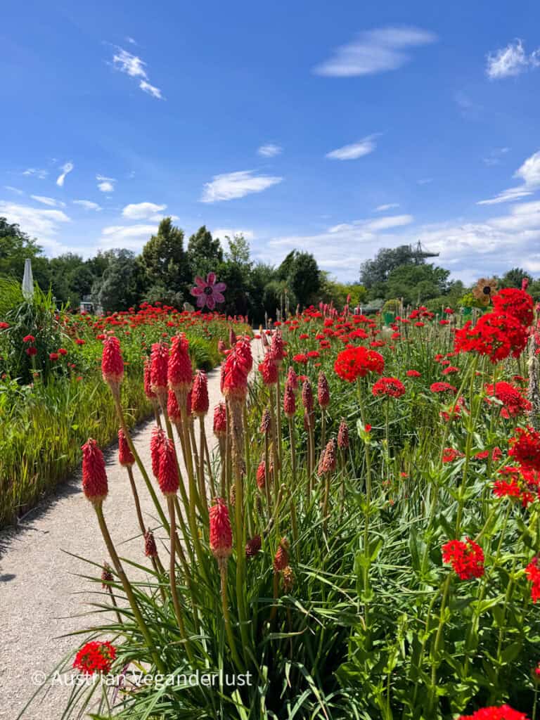 Bright red flowering plants line a winding garden path beneath a blue sky with scattered clouds. Colorful blooms fill the landscaped beds while a large flower sculpture rises in the background.