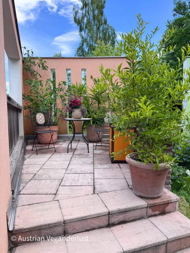 Kleiner Terrassengarten mit Topfbäumen, blühenden Pflanzen und Sitzgelegenheiten im Café-Stil aus Metall, die auf einer Steinterrasse angeordnet sind. Ein Tisch, auf dem blühende Blumen stehen, schafft eine gemütliche Sitzecke im Freien.