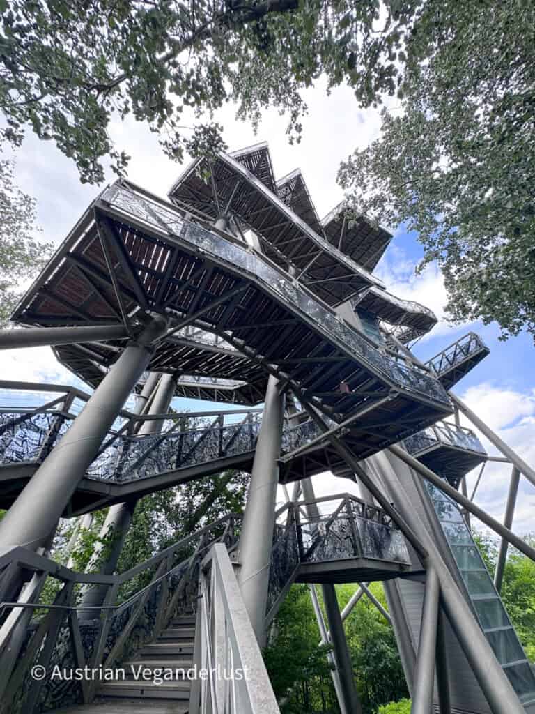 Ein mehrstöckiger Aussichtsturm ragt über die Baumkronen hinaus – mit Stahlstützen, Treppen und Aussichtsplattformen, die sich hoch in den Himmel erstrecken. Baumäste umrahmen das Bauwerk von unten.