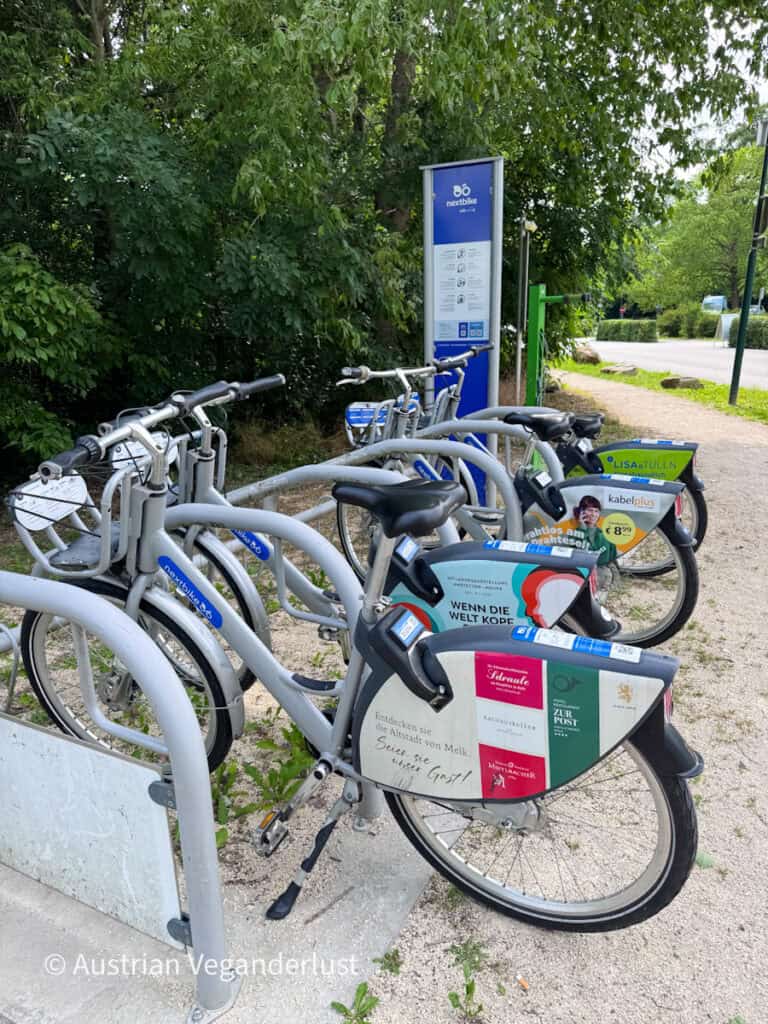 Eine öffentliche Fahrradverleihstation mit mehreren Leihfahrrädern, die in Halterungen unter altem Baumbestand stehen. Informationsschilder und die Fahrradinfrastruktur machen es Besuchern leicht, die Gegend mit dem Fahrrad zu erkunden.