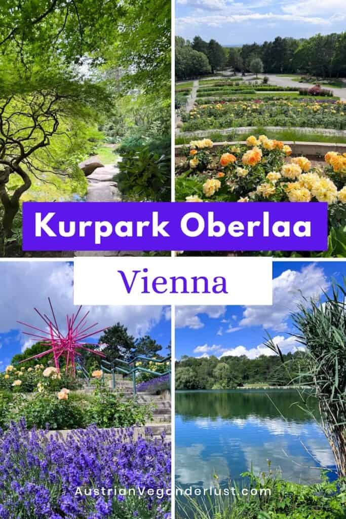 Collage featuring four scenes from Kurpark Oberlaa in Vienna including a shaded Japanese garden path, terraced rose gardens, blooming lavender with a pink sculpture, and a tranquil lake. Text on the image reads "Kurpark Oberlaa" and "Vienna".